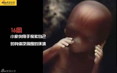 攝影師記錄從接吻到生子,造人做的那些事!我們就是這樣來的!太不可思議了!