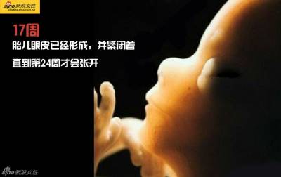 攝影師記錄從接吻到生子,造人做的那些事!我們就是這樣來的!太不可思議了!