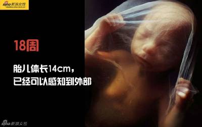 攝影師記錄從接吻到生子,造人做的那些事!我們就是這樣來的!太不可思議了!