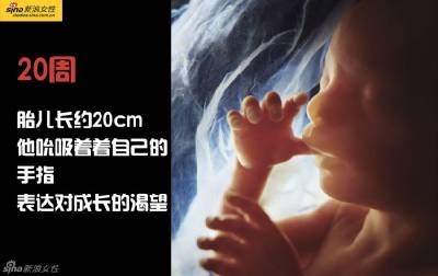 攝影師記錄從接吻到生子,造人做的那些事!我們就是這樣來的!太不可思議了!