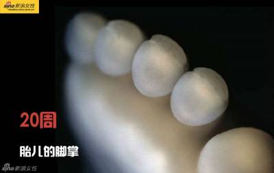 攝影師記錄從接吻到生子,造人做的那些事!我們就是這樣來的!太不可思議了!