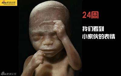 攝影師記錄從接吻到生子,造人做的那些事!我們就是這樣來的!太不可思議了!