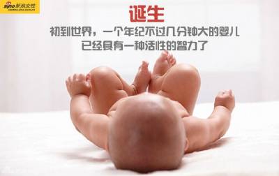 攝影師記錄從接吻到生子,造人做的那些事!我們就是這樣來的!太不可思議了!