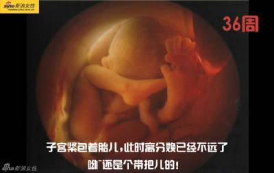 攝影師記錄從接吻到生子,造人做的那些事!我們就是這樣來的!太不可思議了!