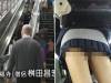 驚訝！日本色和尚電車偷拍女高中生裙底．．．當場被逮捕！
