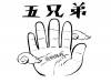 五兄弟的故事