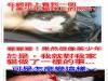 網路看到「美少年貓」馬上讓寶貝模仿一下…怎麼變這樣>