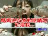 傳說中的死魚眼XD