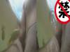 「外國人釣魚,看到乳頭上鉤」魚兒錯把男人的乳頭當成了食物!躍出水面沖向乳頭!
