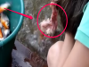 這名少女拿著一桶生肉想要釣魚!但沒想到她釣的竟然是.... (太驚人了)