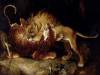 千古不變的難題，老虎和獅子相鬥誰比較厲害？
