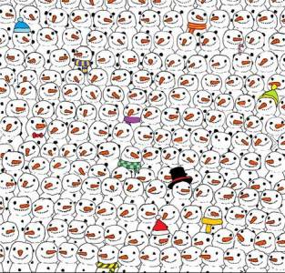 智商大考驗！！你能從兩張圖片中找到「熊貓」和「貓咪」嗎？180的人才找得到…