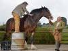 英國馬匹高3米有望成世界最高馬