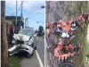 原本單純的車禍現場照片,但當大家看到那棵樹的傷勢部位,全都笑噴了!